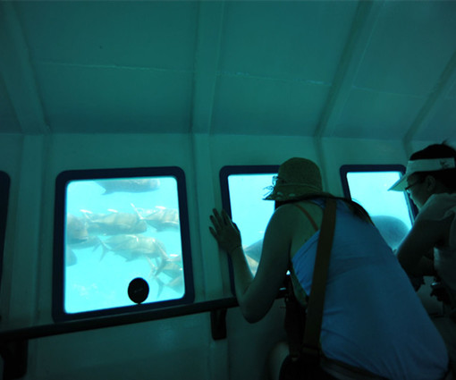 天堂之岛巴厘岛,天堂之岛巴厘岛旅游