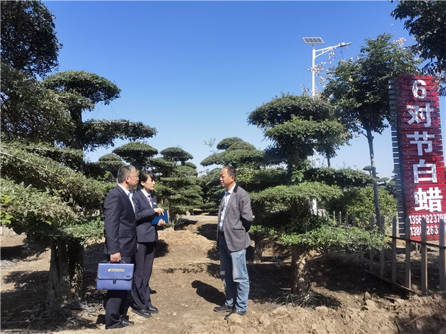 邮储银行服务三农开展普惠金融,邮储银行助力乡村振兴