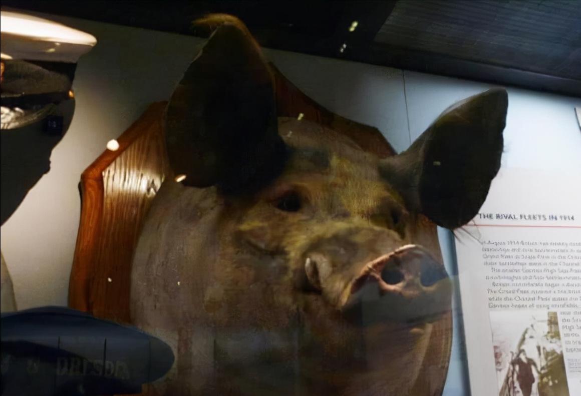 一战的那些事儿,一战的所有事件