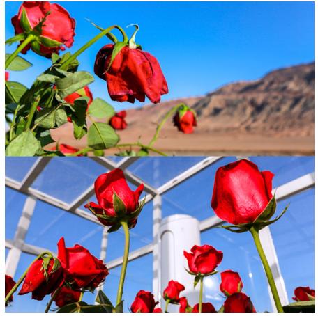 南北极诞生之初,南北极现在和以前的情况