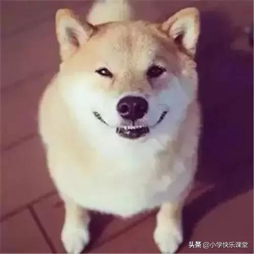 中国最难读的食物名字,最常见的食物名字