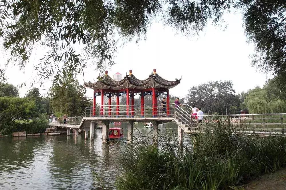 石家庄草莓采摘基地推荐,石家庄周边采摘园摘草莓