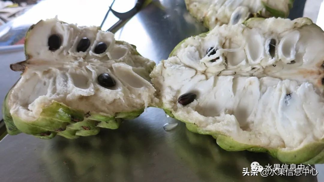 目前释迦最好的品种,粉色释迦