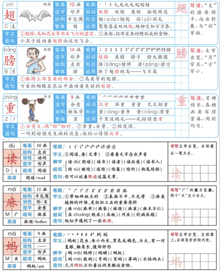 第20课三年级上册的生字笔顺,部编版三年级下册生字笔顺动图