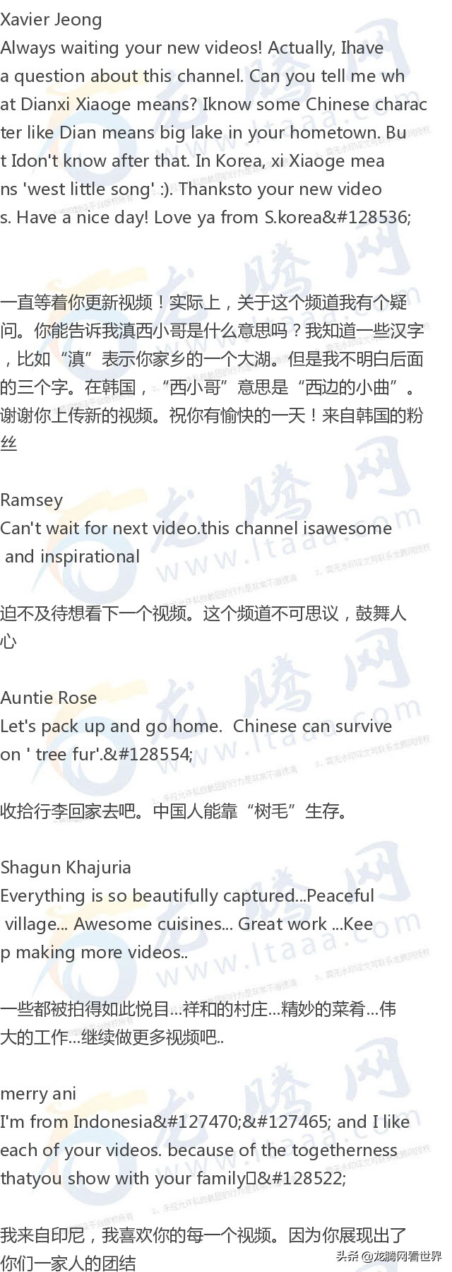 「龙腾网」长在树上的“胡子”：树毛菜（滇西小哥）