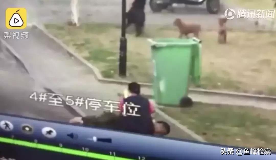遛狗不牵绳又惹祸！男子遭狗撕咬*体下**被缝30多针……视频触目惊心