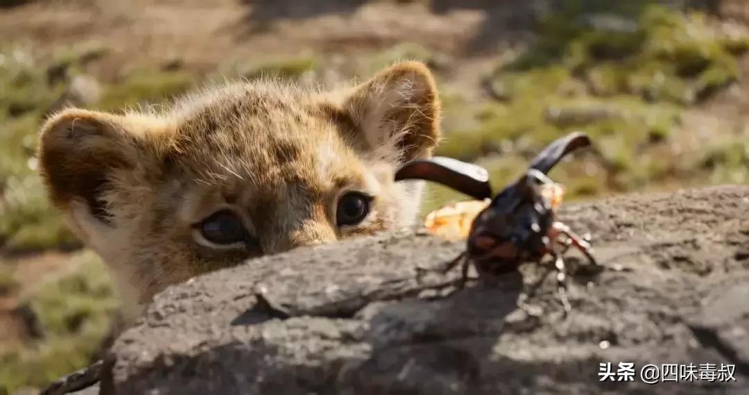 狮子王最近几年翻拍了吗,狮子王现实版完整版