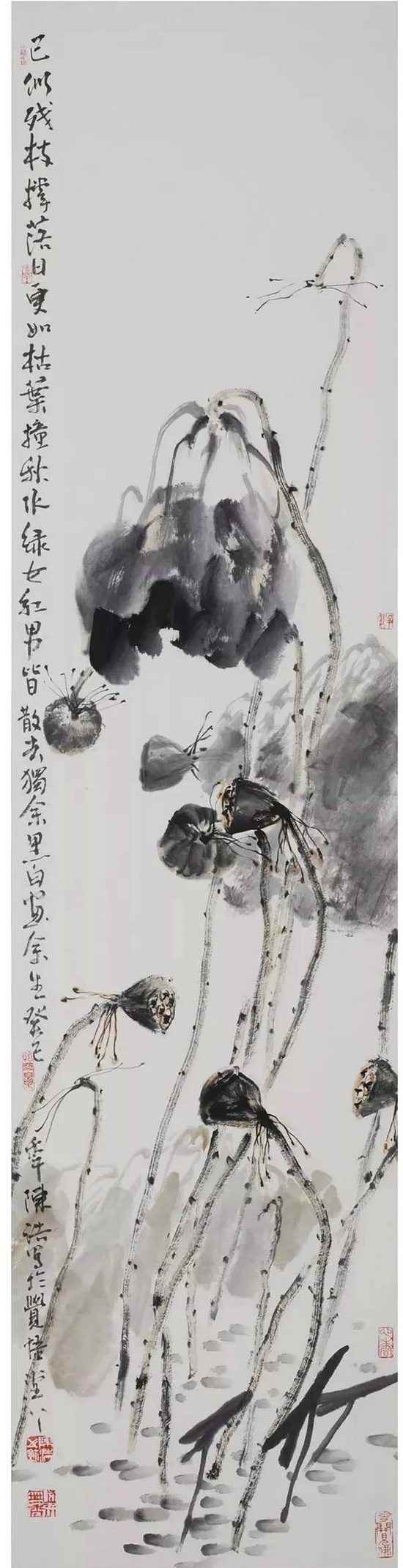 陈浩:卷舒开合任天真