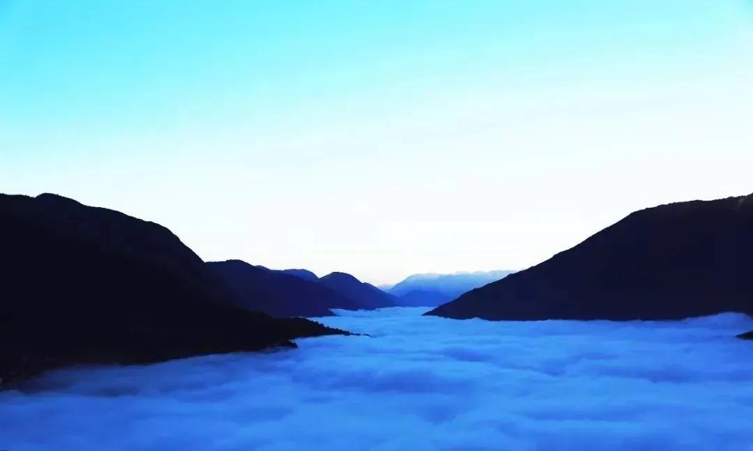 谜一般的绛香拔拉【香拔拉】