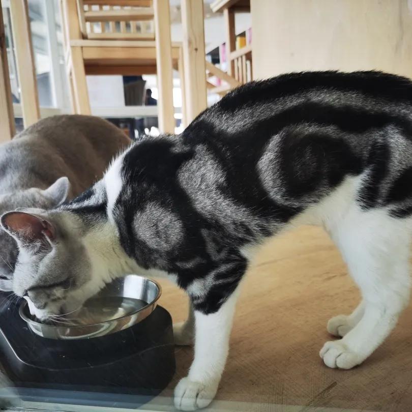 天津天塔内部长什么样,天津天塔柱子里有什么