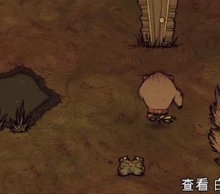 饥荒芝士蛋糕陷阱配方,饥荒各陷阱用法