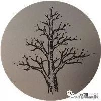 盆景结顶的形式,最好的盆景结顶方法