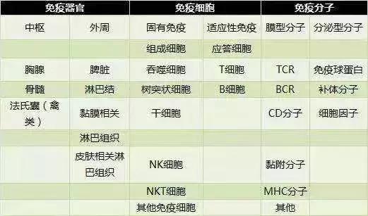 看了科普视频感想,免疫学科普视频