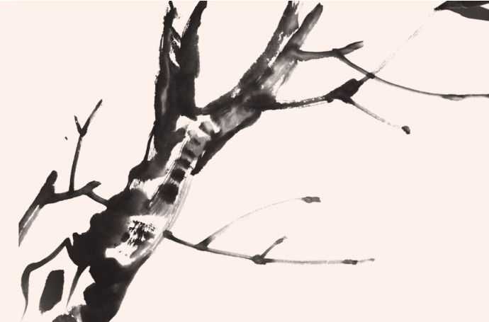 国画花枝穿插技巧图解,国画花枝的简单教程