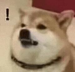 塑身衣美体收腹提臀包臀,减肥瘦身腰带甩脂机的危害性