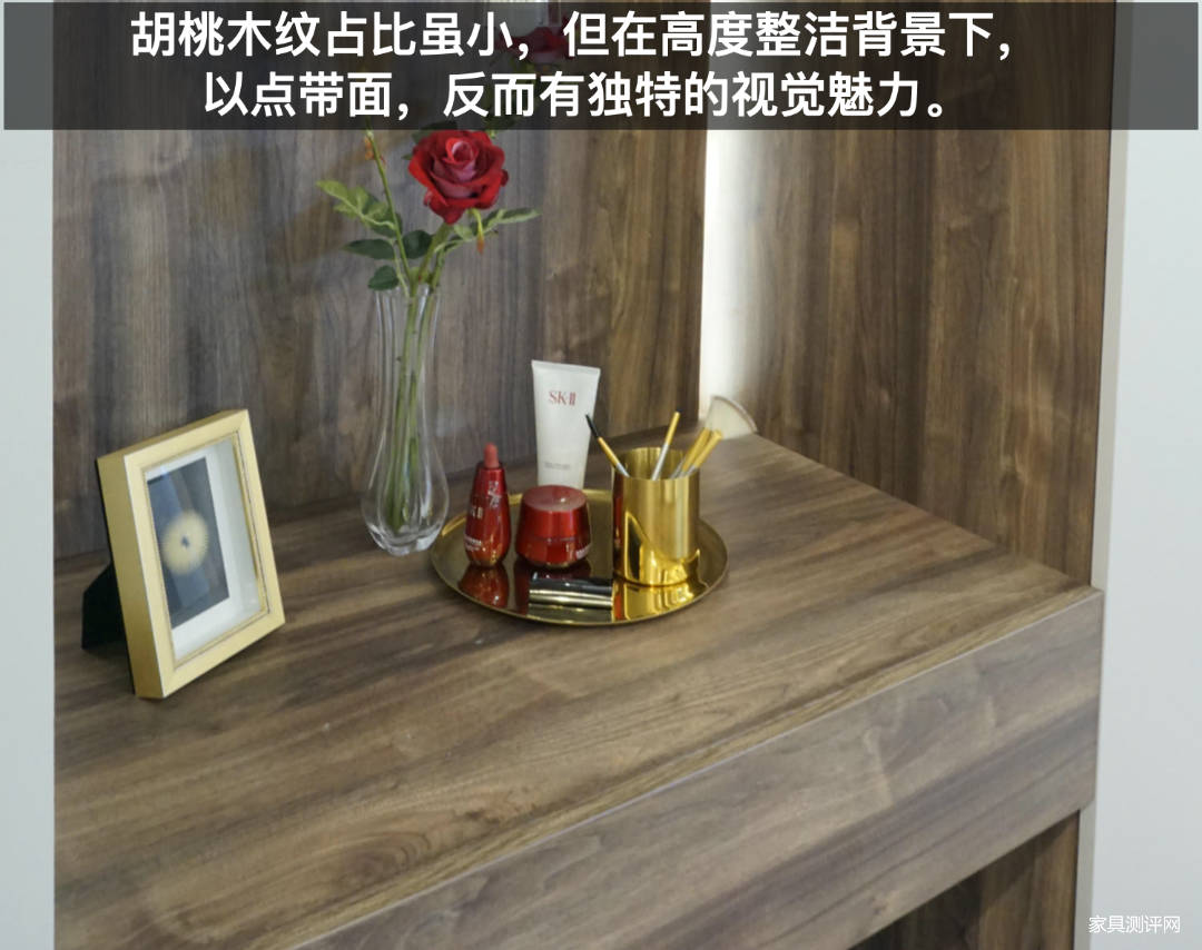 莱茵艾格定制家具测评：自带美术馆效果，让你家大到能“望远”