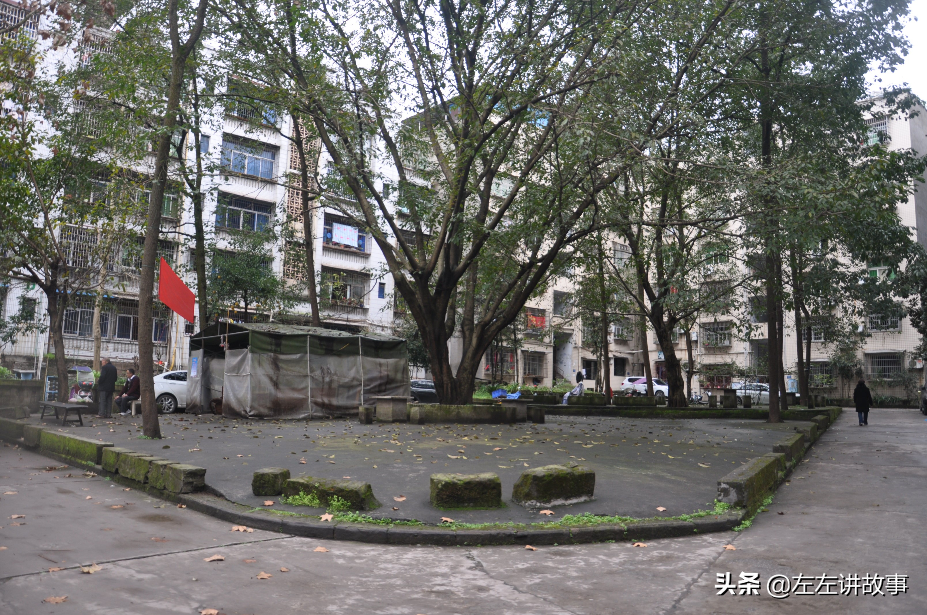 珠*牌江**单反相机，是华蓥山里这家工厂开发的