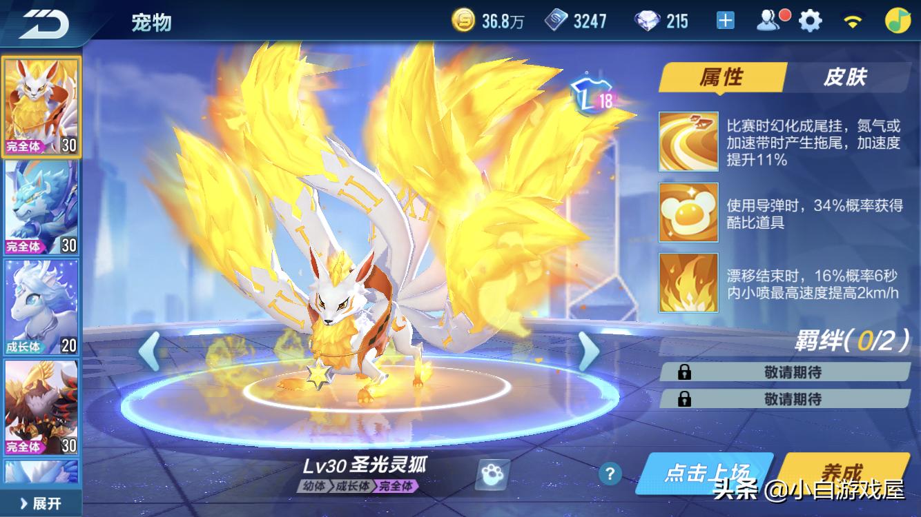 qq飞车手游最强点券道具宠物排名,qq飞车手游道具宠物最新排行7月