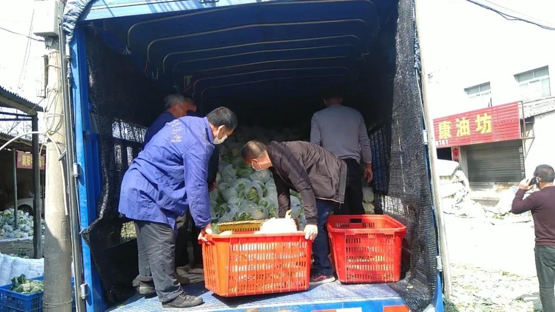 最近滞销的蔬菜 (山东菏泽滞销蔬菜)