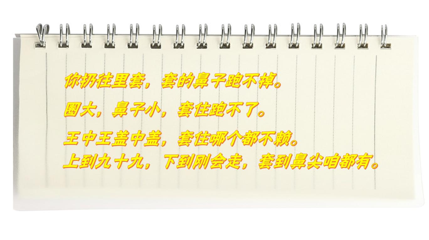套圈生意新手入门教程,100个新手赚钱项目怎么做