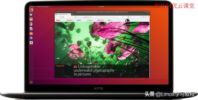 ubuntu和centos谁更适合做服务器,centos和ubuntu哪个好用