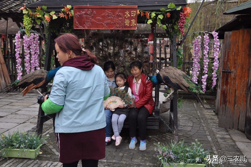 在农村真正赚大钱的项目有哪些,农村普通项目也能赚大钱
