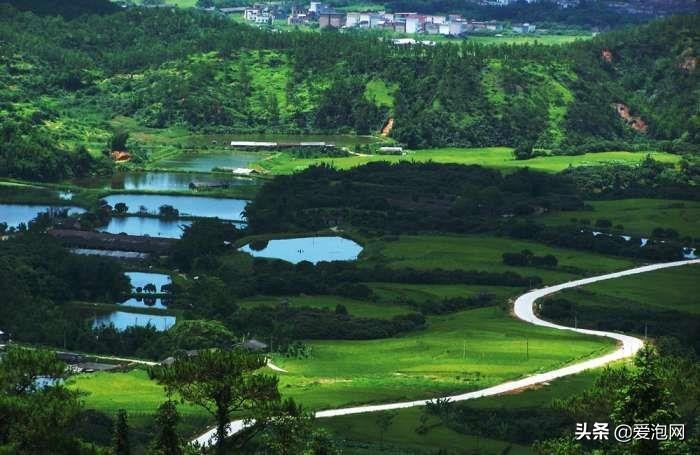 阳春田园风景视频,阳春春湾镇风景视频