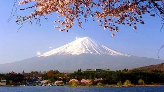 出国留学应该注意什么英语,出国留学机构咨询什么及注意什么