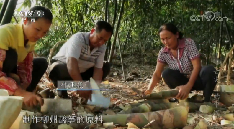 能臭一整栋楼的螺蛳粉，为什么那么臭，还有那么多人爱吃？