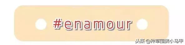 名创优品是骗子平台吗,名创优品有没有假的