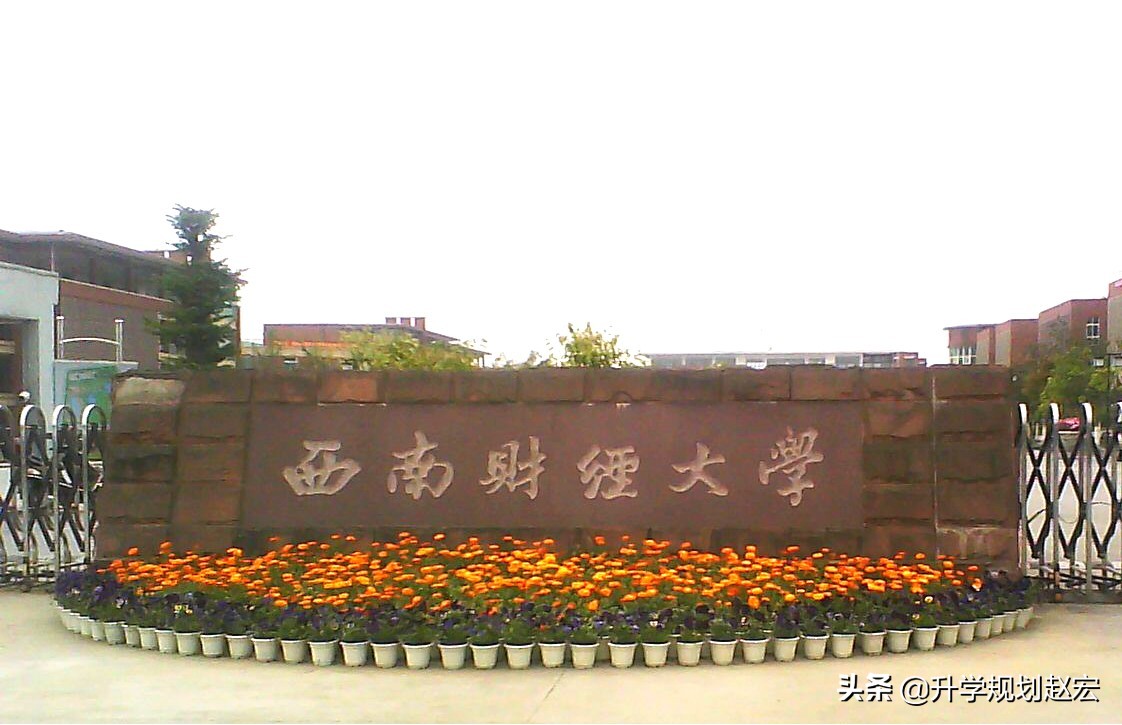 西南大学深造率,深造率