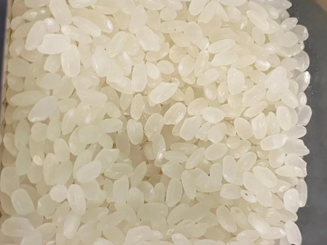 顾小稻说丨天气一热，米虫出没，除米虫这招最好使