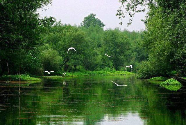 浙江省江山市江郎山风景区,浙江省嘉兴市乌镇东栅景区