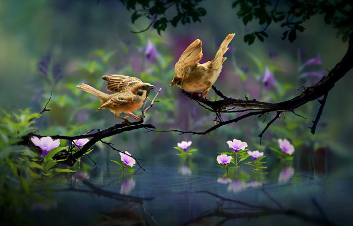 苏东坡趣闻全集,苏东坡趣闻趣事