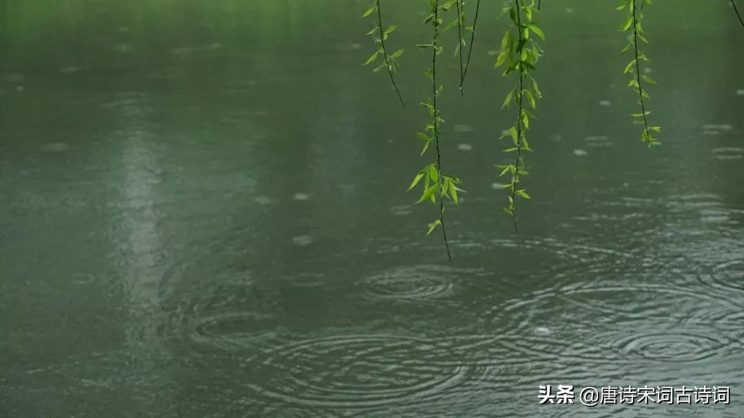 春柳的古诗词有哪些,描写春柳的古诗