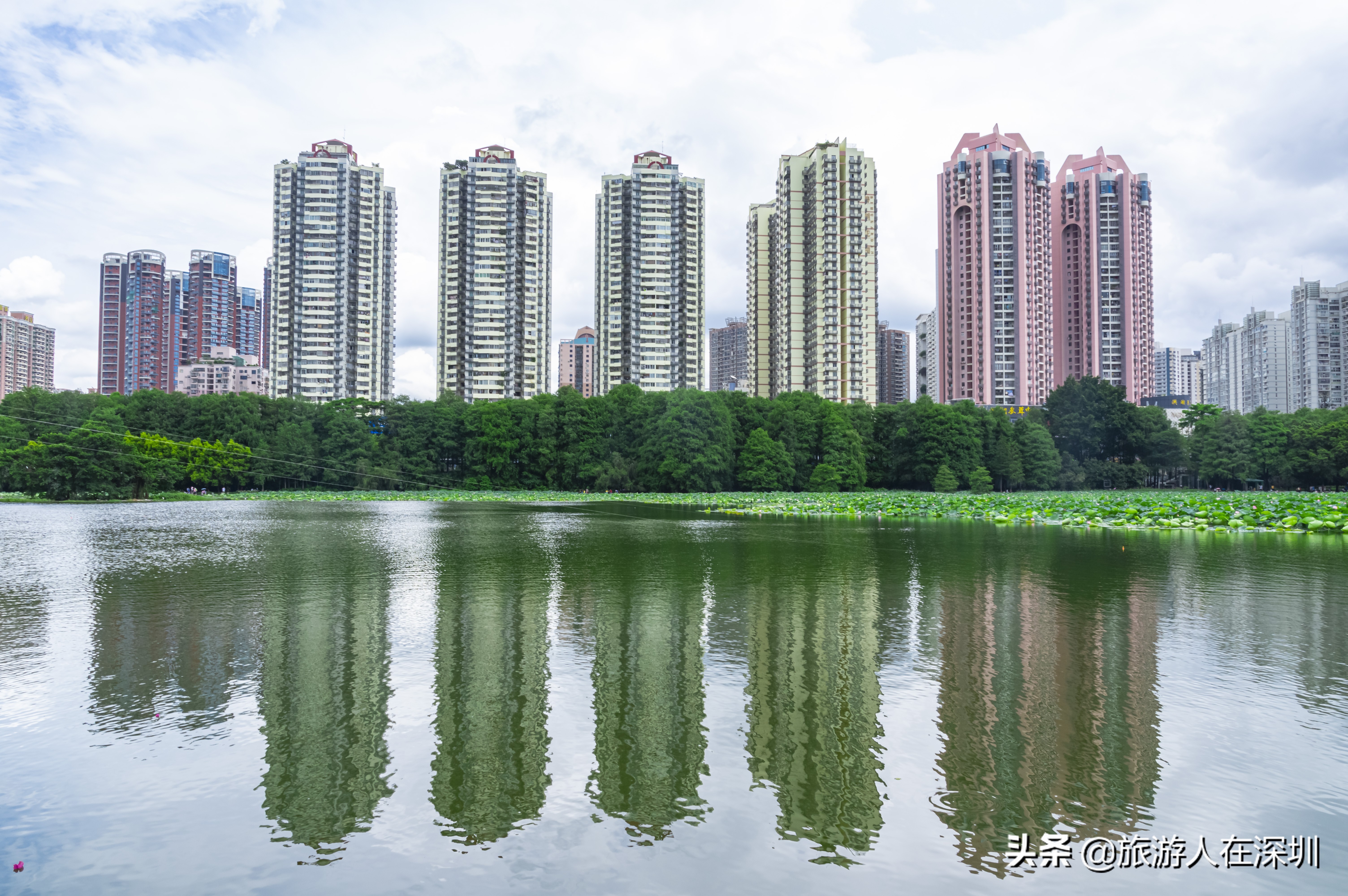 实拍深圳洪湖公园,深圳洪湖公园游玩攻略图