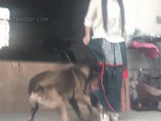 二次元的钱就是好赚,二次元的钱就是这么好赚