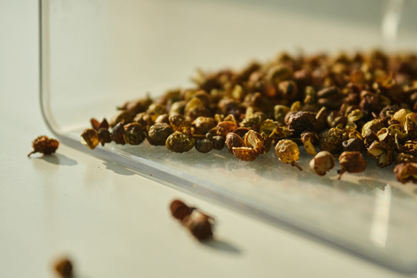 40岁牙齿松动是不是衰老的表现,40多岁牙齿松动脱落是什么原因