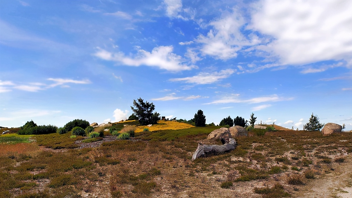 中间带弘字的女孩名字,带弘的女孩名