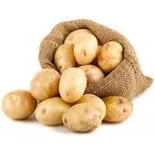 你真的了解猹吗,你对土豆了解多少