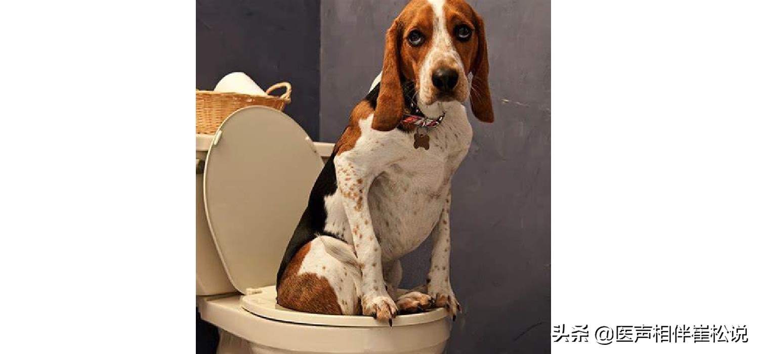 告别便秘的第一天,告别便秘的瑜伽动作