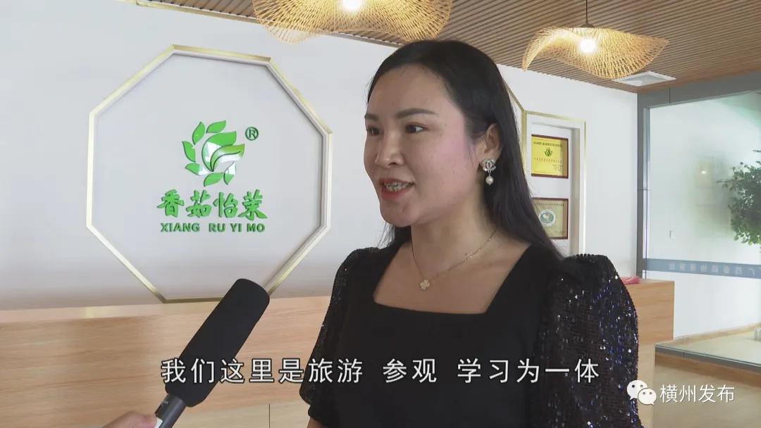 横州茉莉花产业产值,横州市茉莉花发展集团有限公司