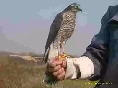 靖远民国以来民间工匠及职业介绍