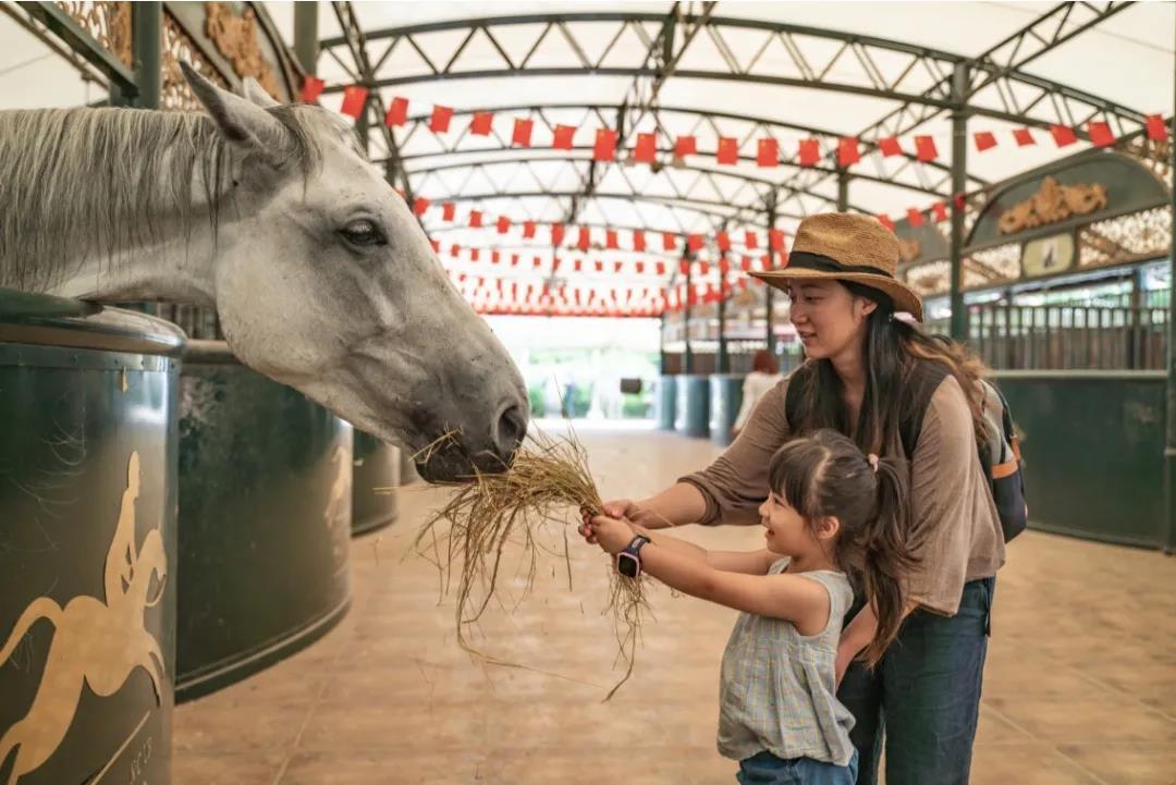 黄果树一日游和景区直通车划算,黄果树景区直通车