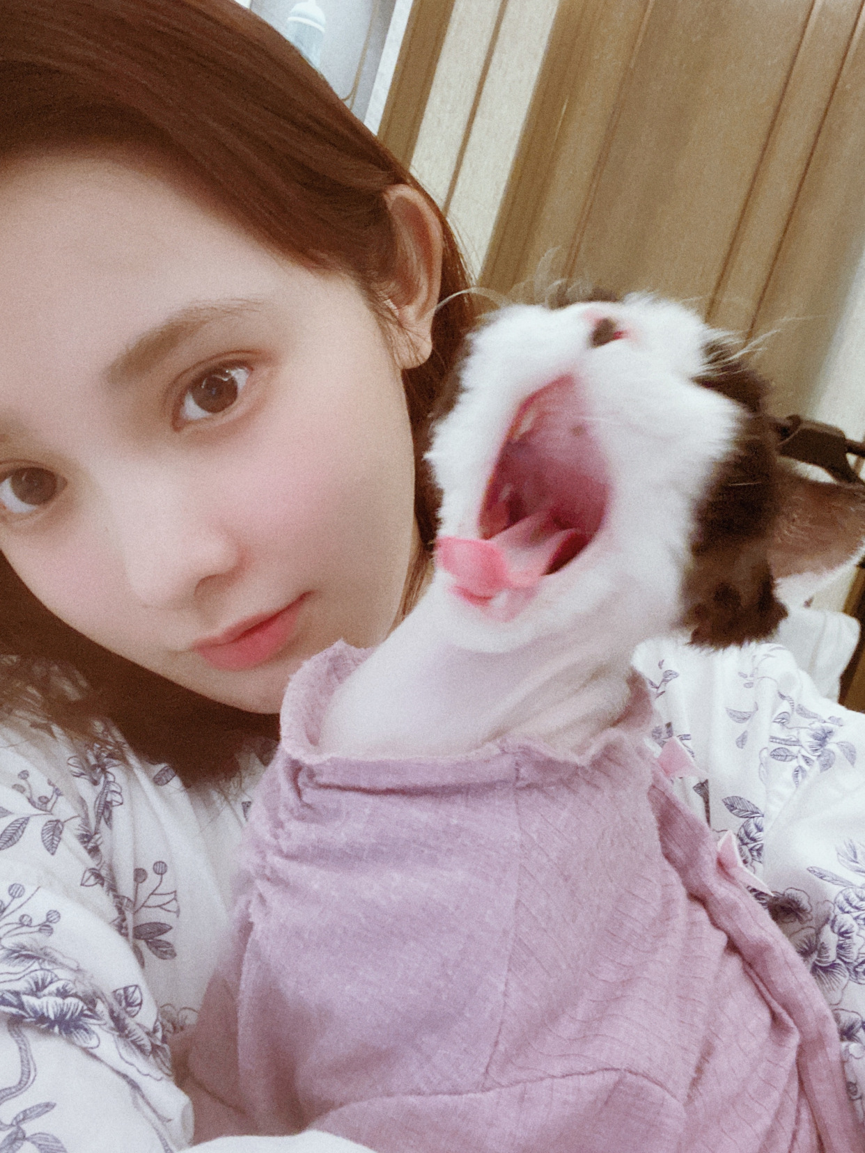 彭小苒入驻b站了吗,彭小苒b站视频