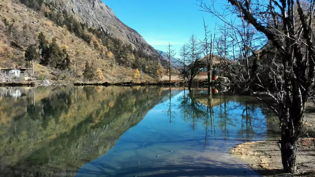 老爸,我想和你一起再做600件事!