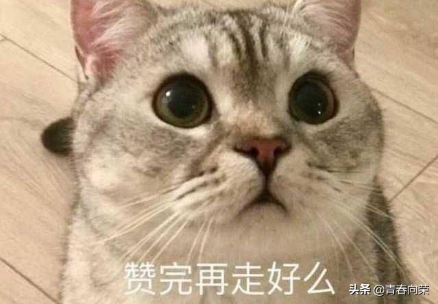 电脑椅子怎么选30元,电脑椅哪款好