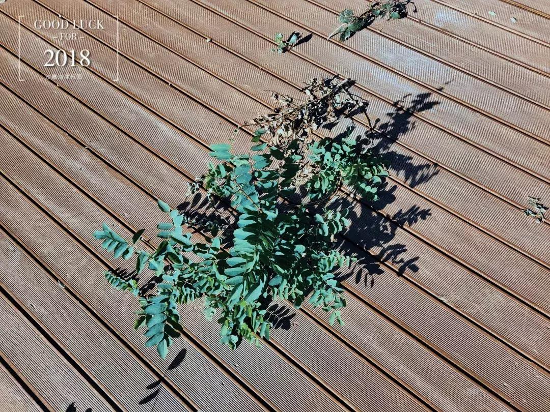 沙雕海洋乐园简介,沙雕海洋乐园秦皇岛