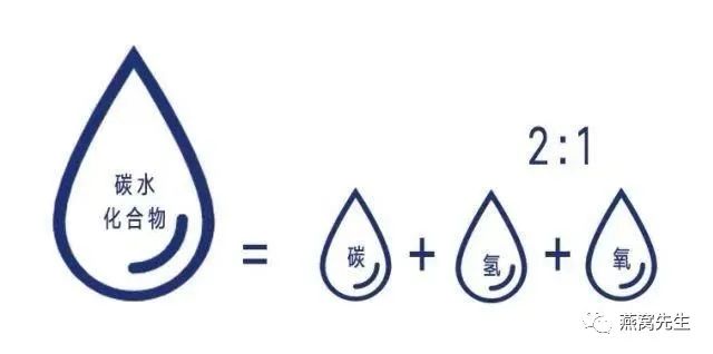 燕窝选购知识雨季燕窝和旱季燕窝,燕窝和燕窝有什么区别