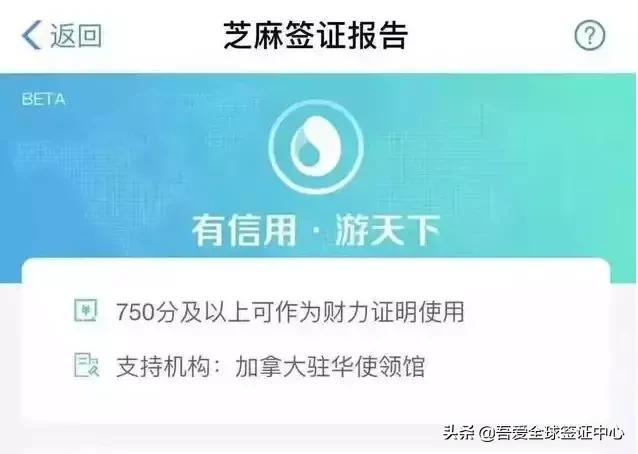 签证流水账单能用微信支付宝吗,办签证可以用支付宝资产证明吗